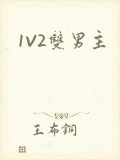 1V2双男主