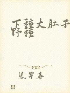 下种大肚子怀孕野种