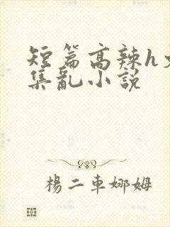 短篇高辣h文合集乱小说