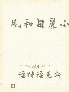 风和日丽小说