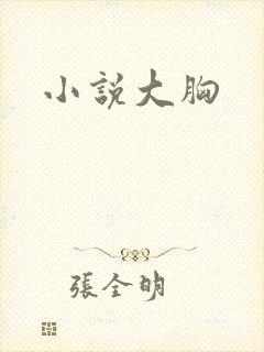 小说大胸