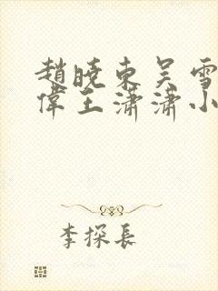 赵晓东吴雪晴郑伟王潇潇小说名字