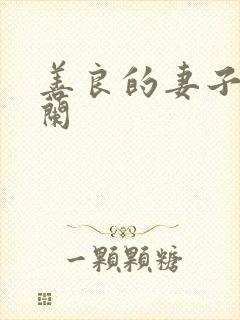 善良的妻子王晓兰