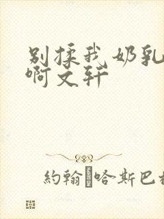 别揉我奶乳嗯～啊文轩