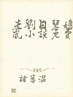 老刘日儿媳妇张岚小说免费阅读