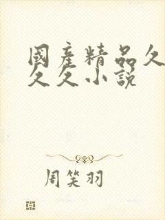 国产精品久久久久久小说