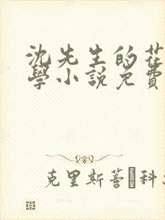 沈先生的花式教学小说免费