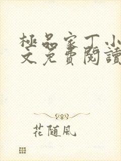 极品家丁小说全文免费阅读