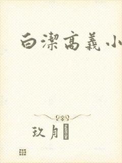白洁高义小说