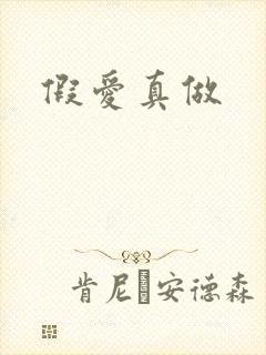 假爱真做