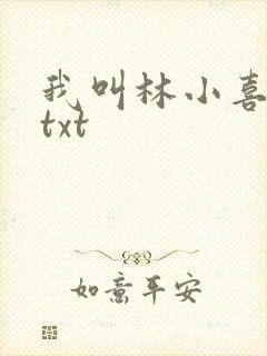 我叫林小喜小说txt