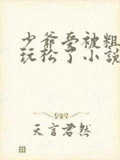 少爷受被粗汉H玩松了小说