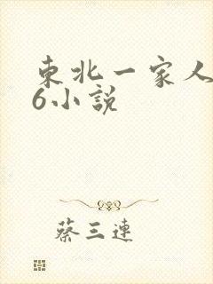 东北一家人1一6小说