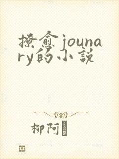 撩愈jounary的小说