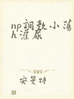 np调教小荡货h灌尿