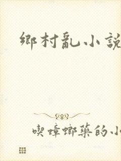 乡村乱小说