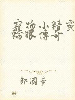 宠物小精灵之写轮眼传奇