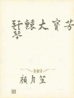 轩辕大宝芳菲雅琴