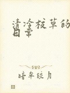 清冷校草的抹布日常