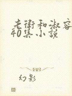 老卫和淑容1-40集小说