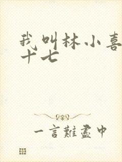 我叫林小喜今年十七