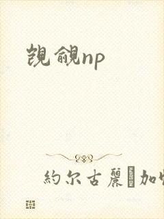 觊觎np