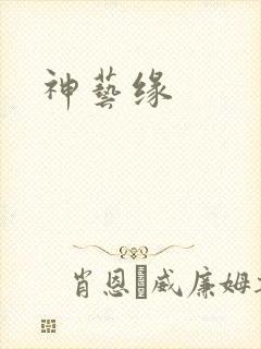 神艺缘