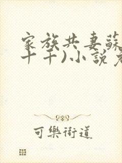 家族共妻苏苏(十千)小说免费