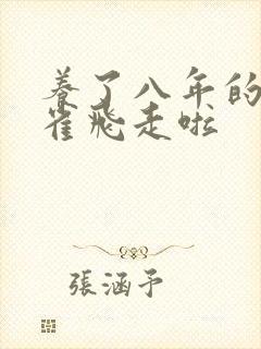 养了八年的金丝雀飞走啦