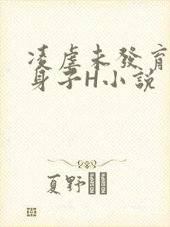 凌虐未发育的小身子H小说