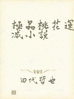 极品桃花运未删减小说