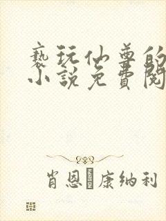 亵玩仙尊的道侣小说免费阅读