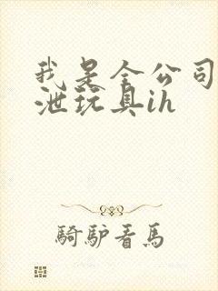 我是全公司的发泄玩具ih