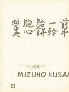 双胞胎一前一后夹心饼干年下