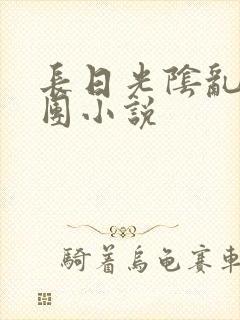 长日光阴乱作一团小说