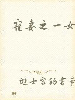 宠妻之一女二夫