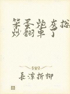 笨蛋炮灰总被爆炒翻车了