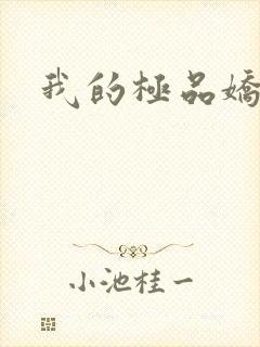 我的极品娇妻