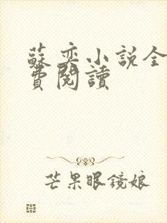 苏奕小说全文免费阅读