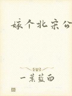 嫁个北宋公务员