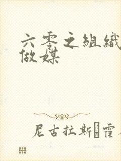 六零之组织给我做媒