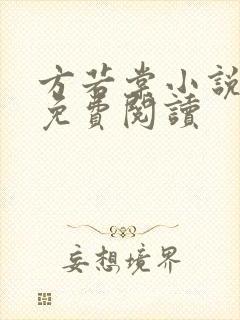 方若棠小说全文免费阅读