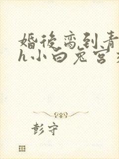 婚后脔到青梅哭h小白兔宫交h