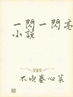 一闪一闪亮星星小说