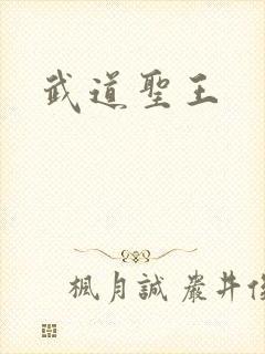 武道圣王