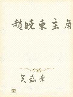 赵晓东主角小说