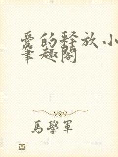 爱的释放小说 笔趣阁