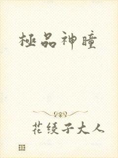 极品神瞳