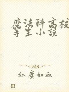 魔法科高校的劣等生小说