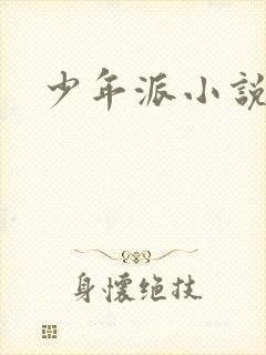 少年派小说